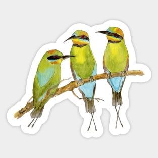 Rainbow Bee Eater Bird Sticker